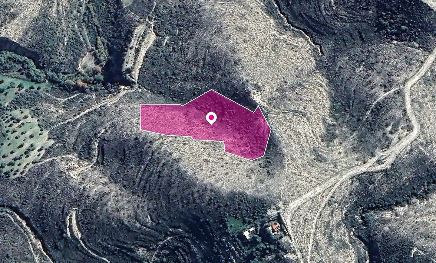 Field in Kato Drys, Larnaca – id S20547