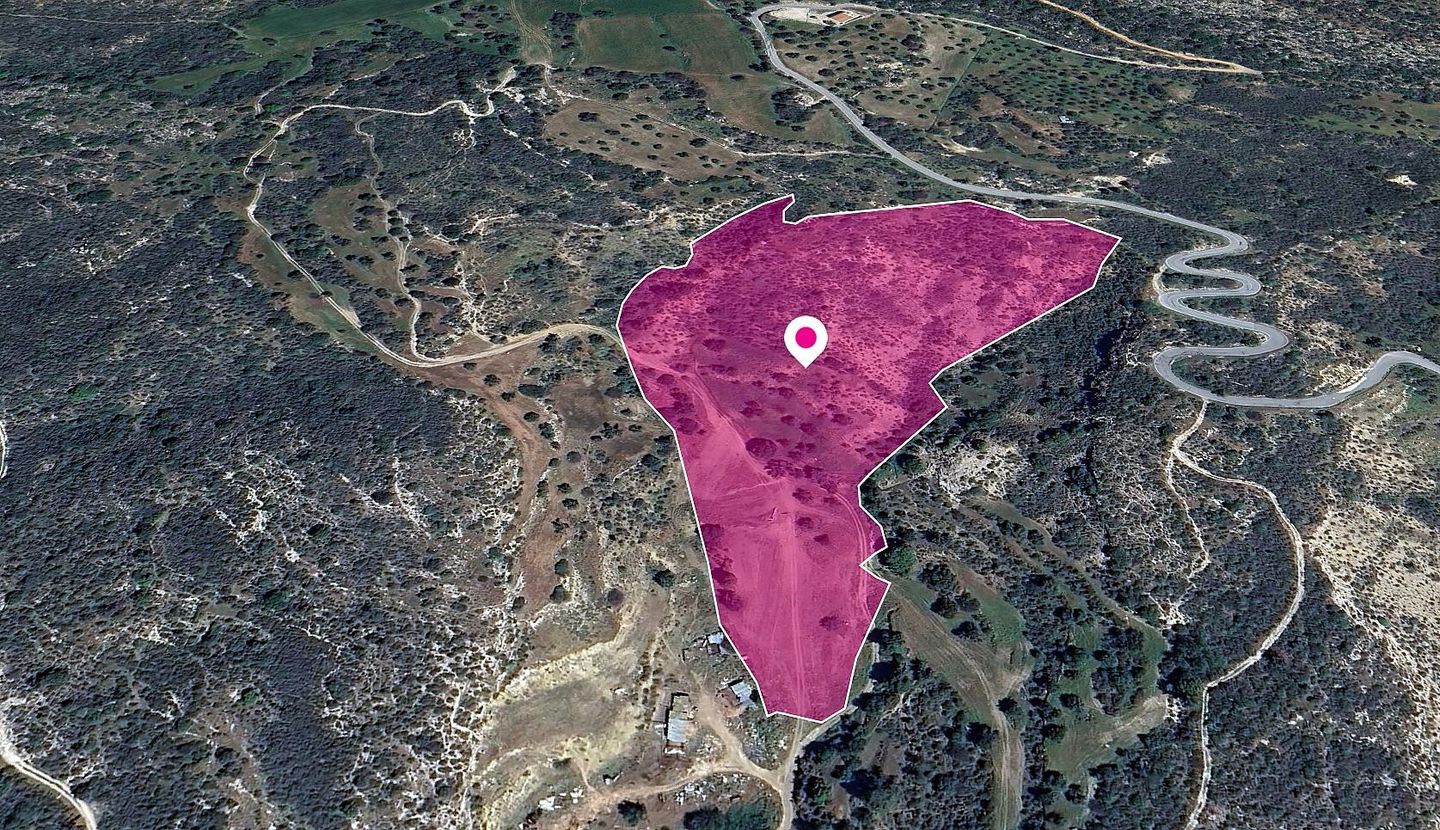 (Share) Field, Agios Isidoros, Paphos – id S43452