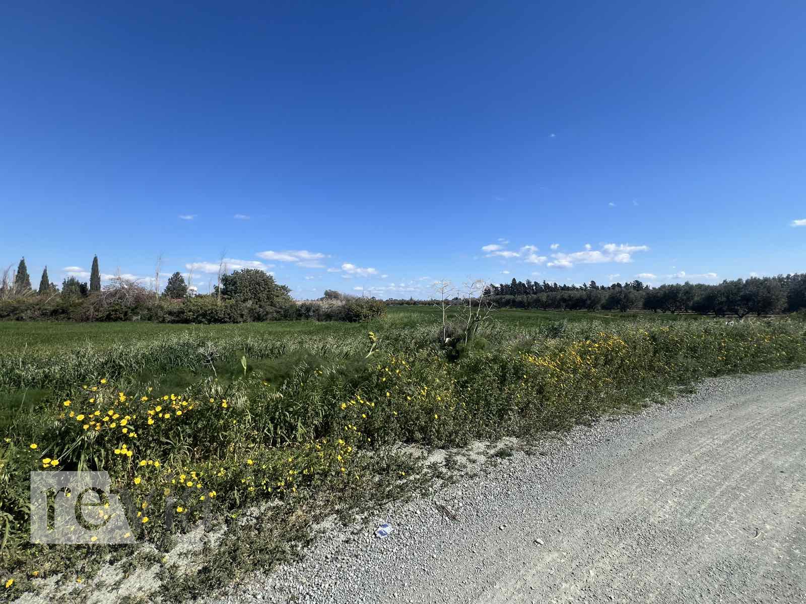 1098337 – Land Field For sale, Zygi, 2.342 sq.m., €145.000