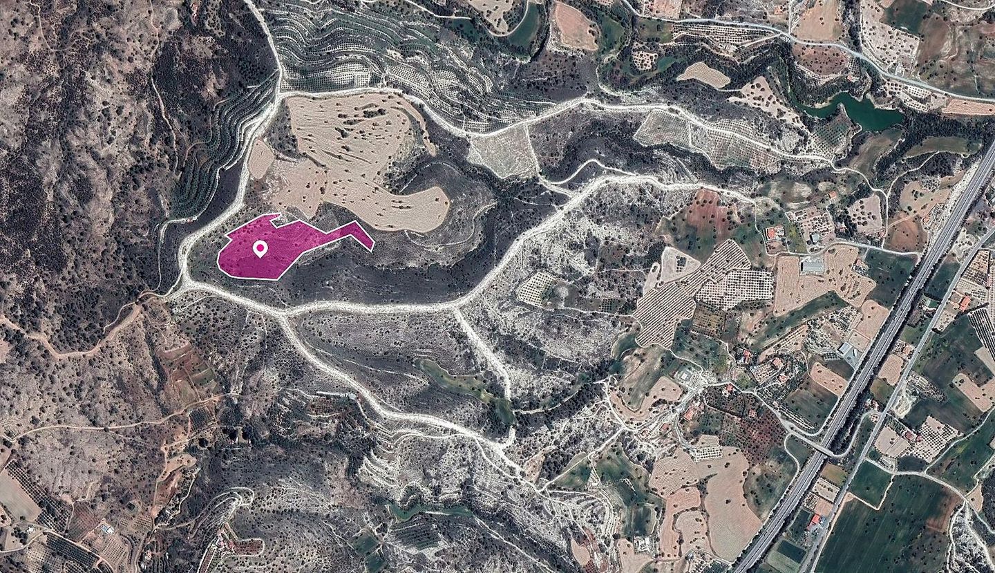 Field in Anglisides, Larnaca – id S30180