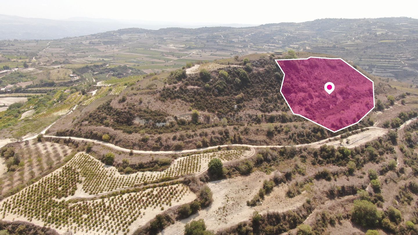 Agricultural Field, Stroumbi, Paphos – id S42631