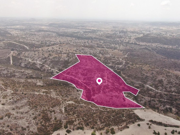 Agriculture Field in Skarinou, Larnaca – id S44258