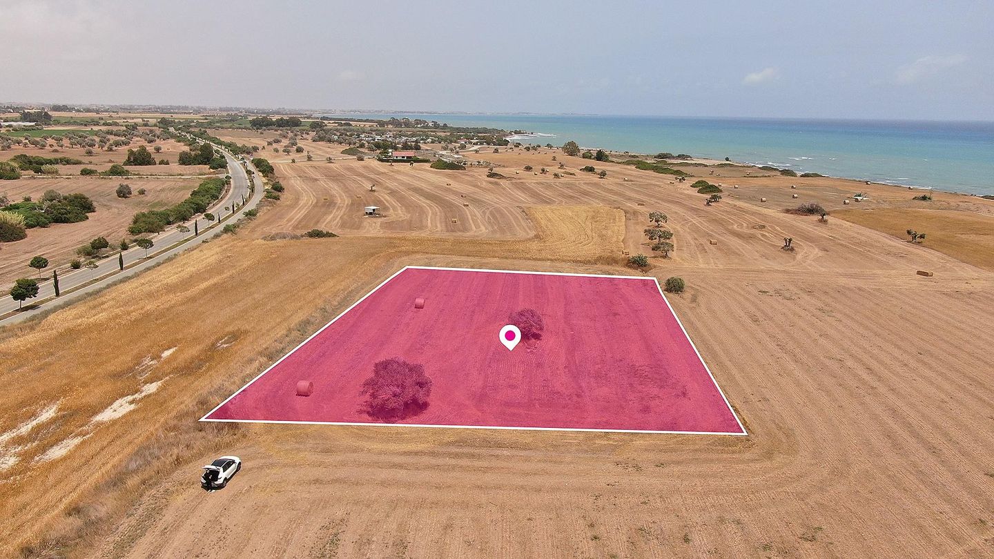 Touristic Field in Mazotos, Larnaca – id S2023