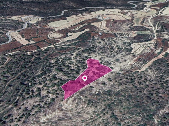 (Share) Agricultural Field in Agios Therapon, Limassol – id S43935
