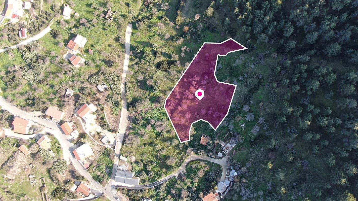 Residential field located in Pigenia, Nicosia – id S42182