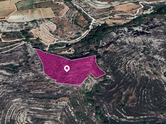 Field, Koilani, Limassol – id S20341