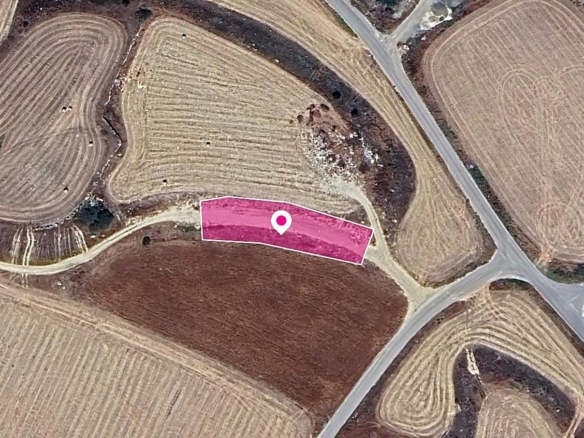 (Share) Agricultural Field in Aradippou, Larnaca – id S44187