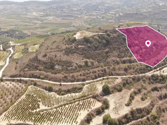 Agricultural Field, Stroumbi, Paphos – id S42631