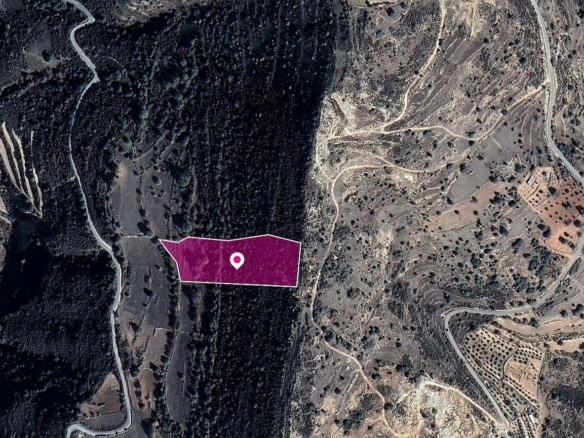 Agricultural Field in Pachna, Limassol – id S43311