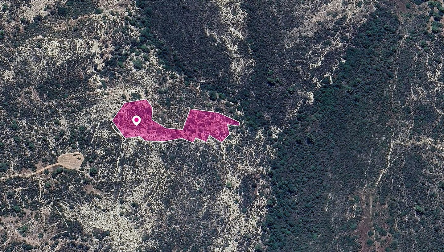 Agricultural Field in Anogyra, Limassol – id S43308