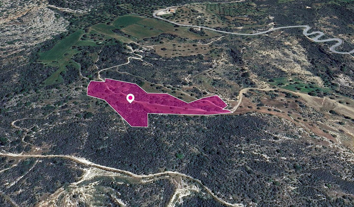 (Share) Agricultural Field in Agios Isidoros, Paphos – id S43453