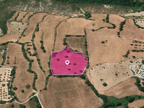 (Share) Agricultural Field, Kato Akourdaleia, Paphos – id S40116