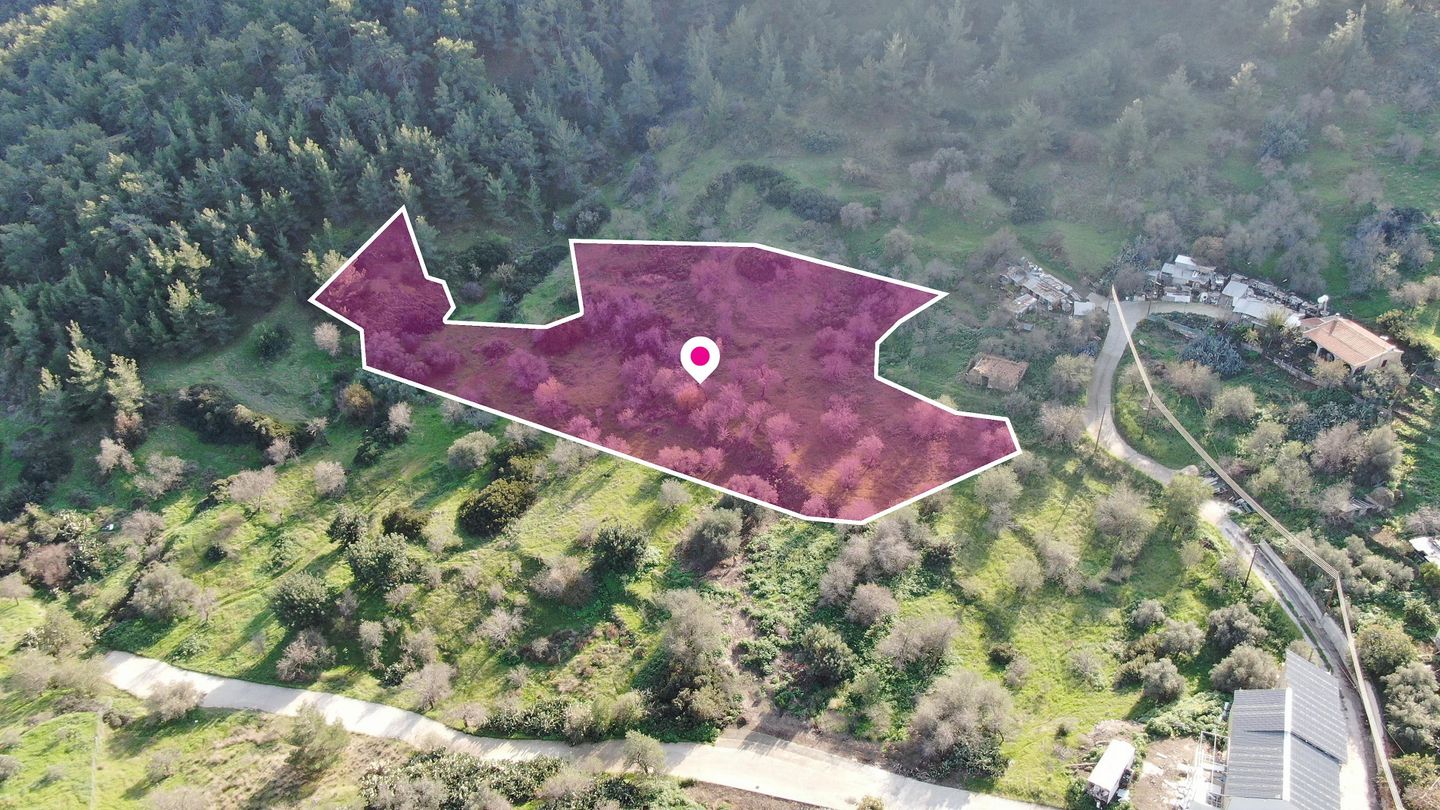 Residential field located in Pigenia, Nicosia – id S42182