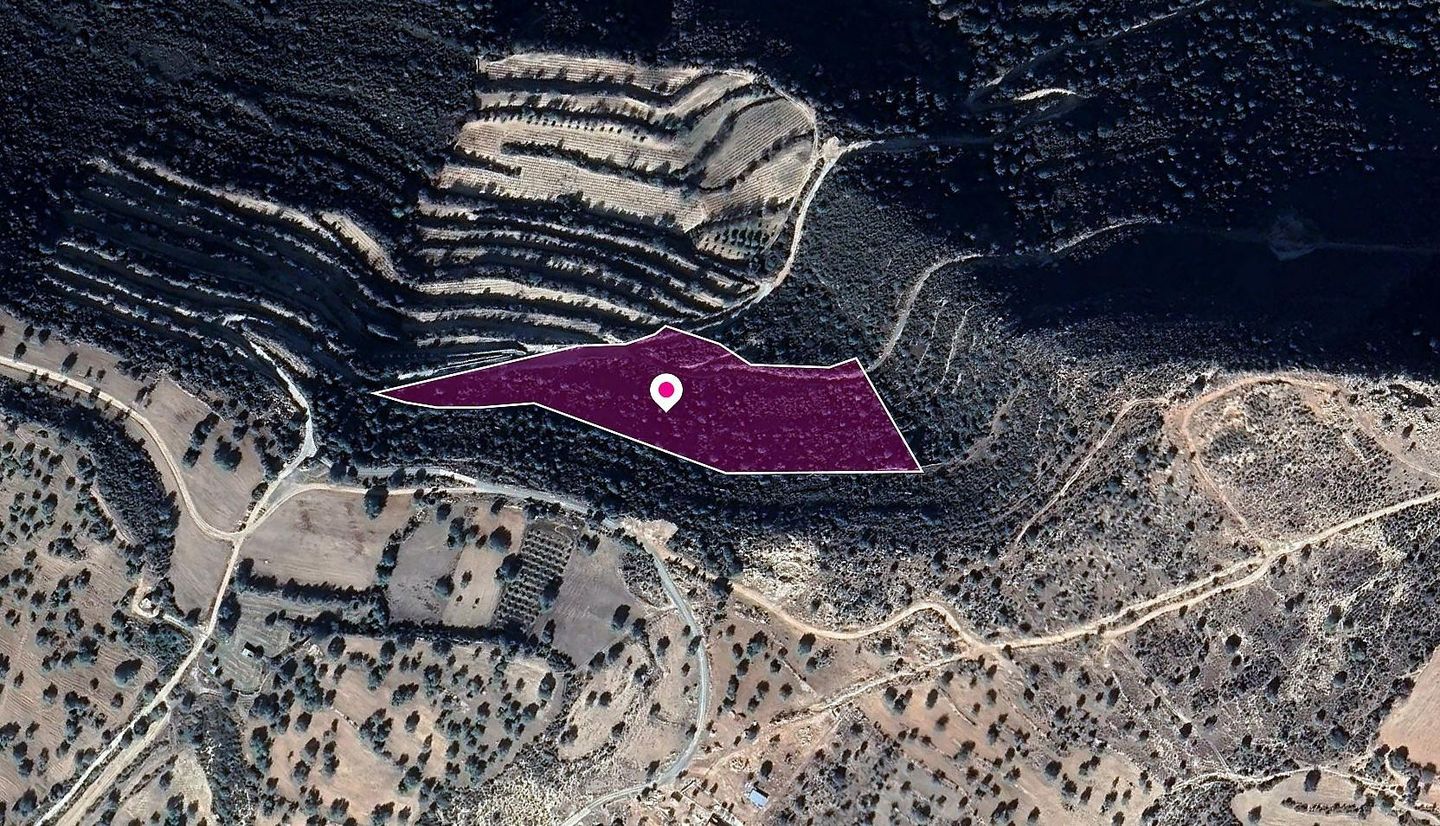 Field, Anogyra, Limassol – id S40054