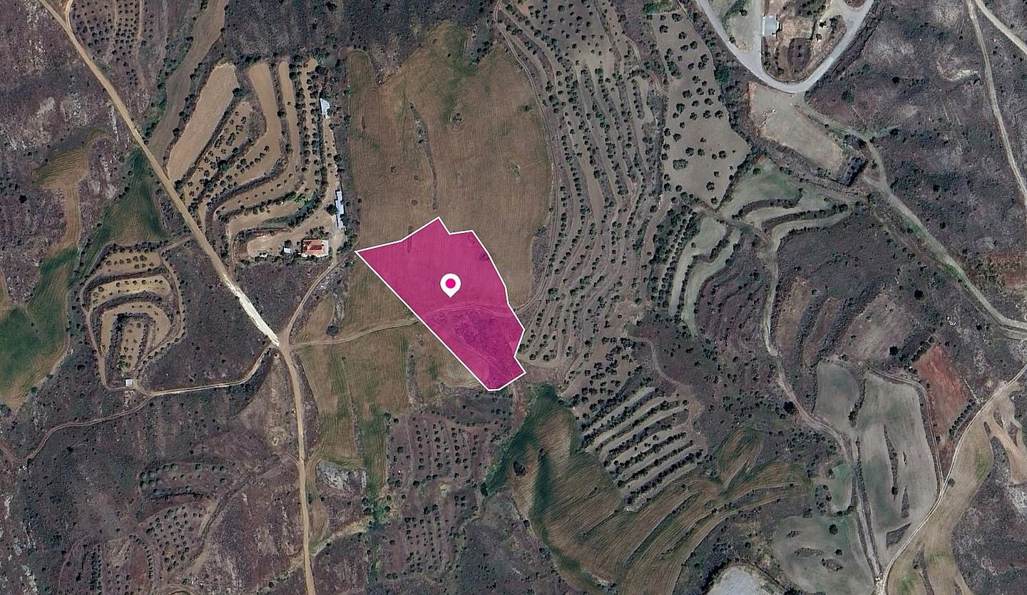 (Share) Agricultural Field in Kalo Chorio Oreinis, Nicosia – id S44291