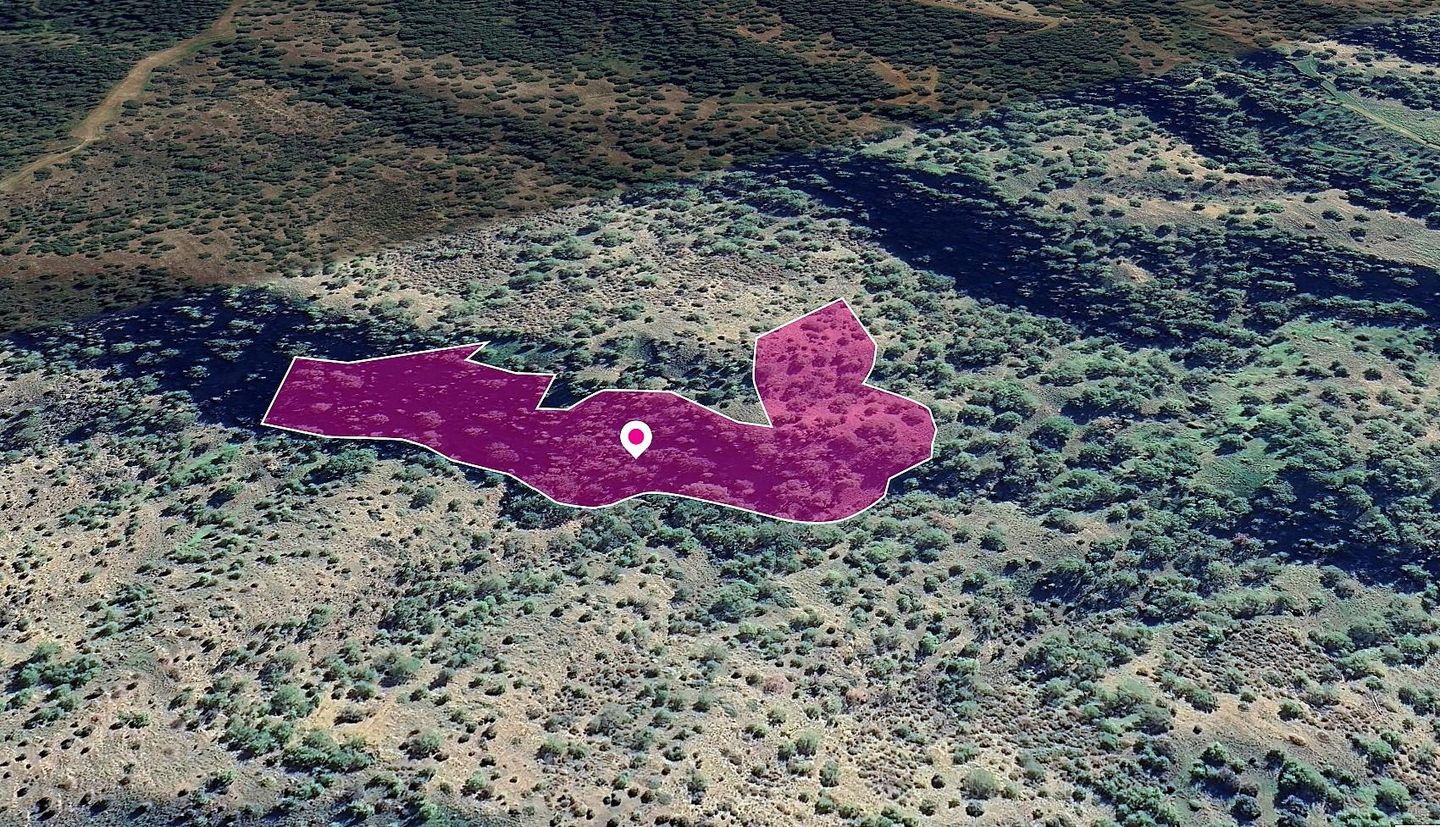 (Share) Field in Pomos, Paphos – id S44040