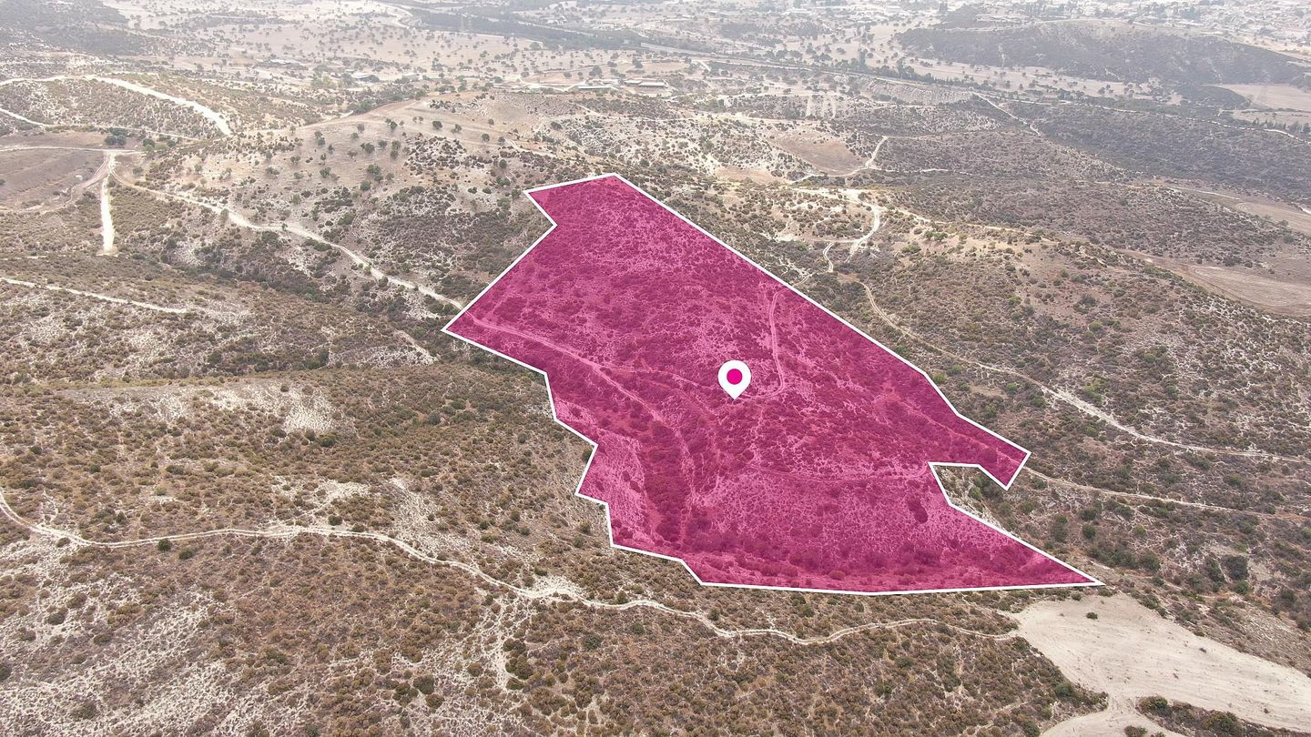 Agriculture Field in Skarinou, Larnaca – id S44258