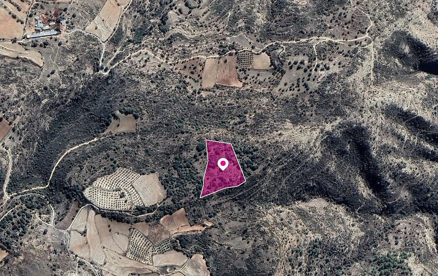 Field in Dora, Limassol – id S8079