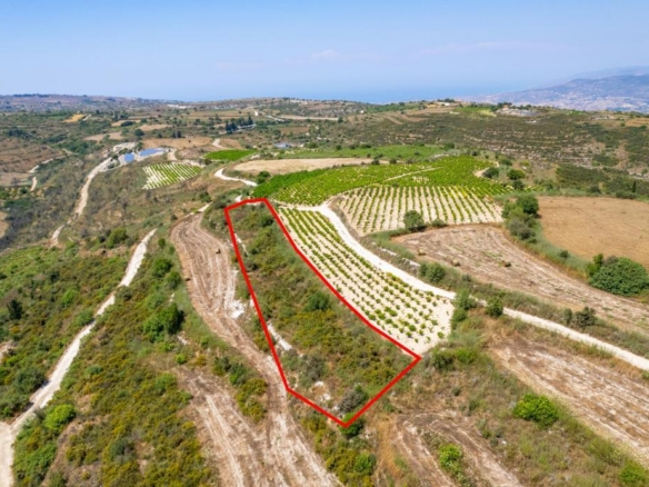 Agricultural field in Kathikas, Paphos – id R9623