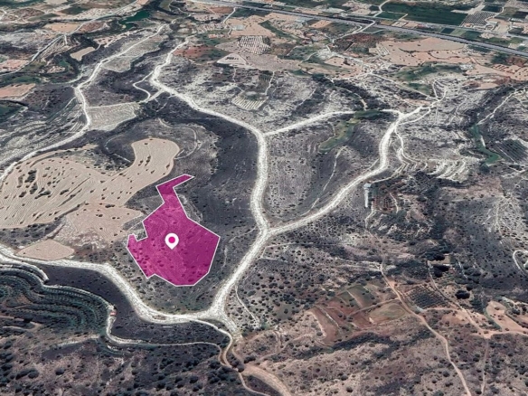 Field in Anglisides, Larnaca – id S30180