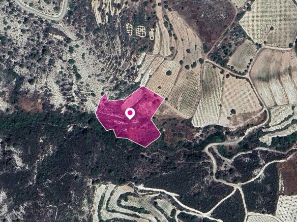 Residential field in Agios Mamas, Limassol – id S43915
