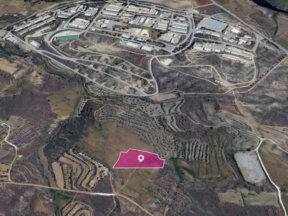 (Share) Agricultural Field in Kalo Chorio Oreinis, Nicosia – id S44291