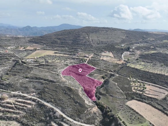 Agricultural Land with Road Access in Laneia, Limassol – id S1237