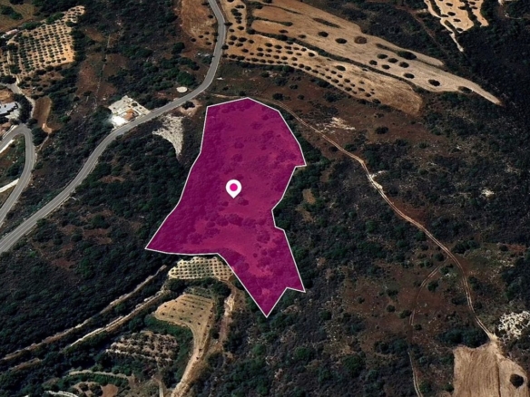 (Share) Agricultural Field in Pano Akourdaleia, Paphos – id S44073
