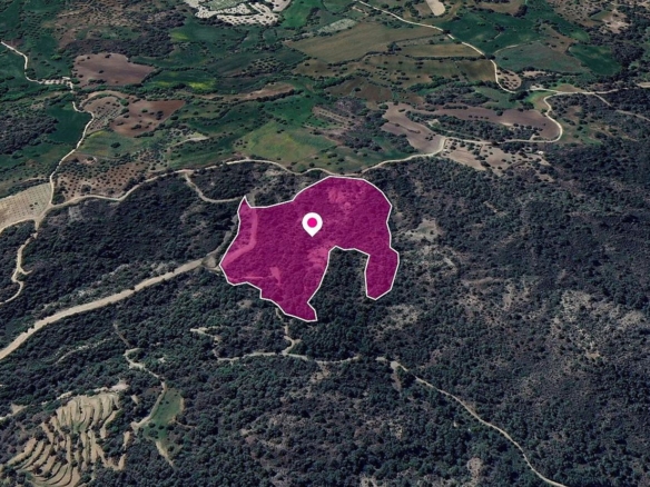 (Share) Agricultural Field, Lysos, Paphos – id S44150