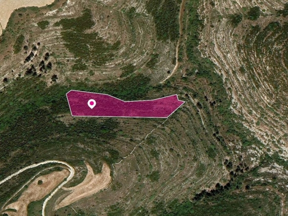 Field in Kathikas, Paphos – id S40142