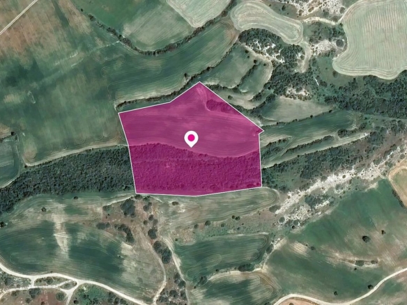 Agricultural Field in Agios Theodoros, Larnaca – id S44029