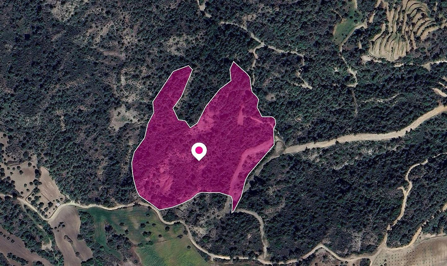 (Share) Agricultural Field, Lysos, Paphos – id S44150