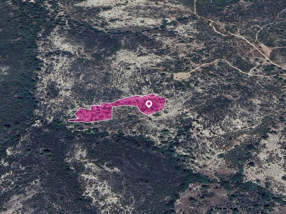 Agricultural Field in Anogyra, Limassol – id S43308