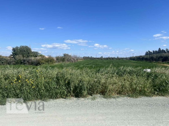 1098337 – Land Field For sale, Zygi, 2.342 sq.m., €145.000