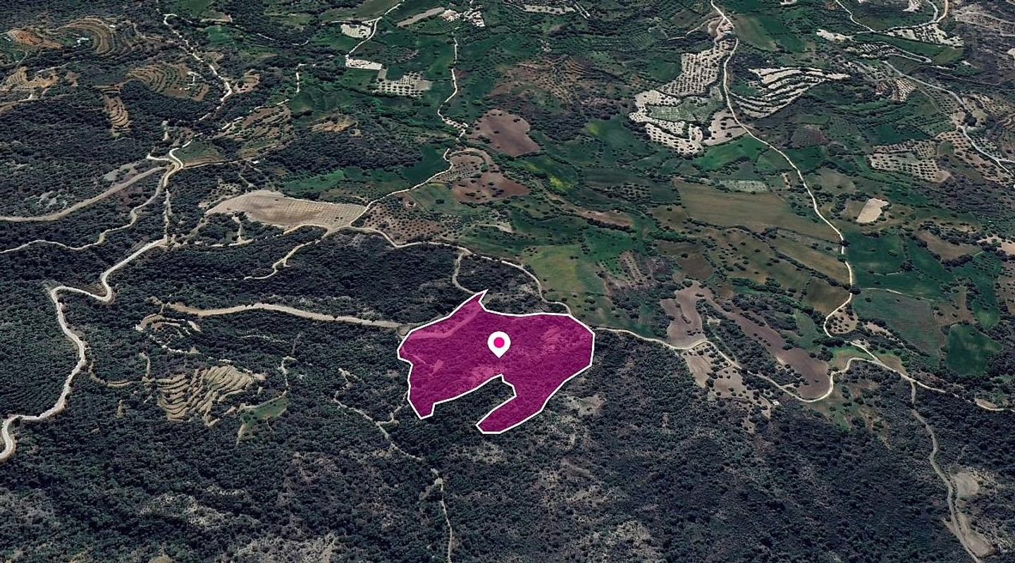 (Share) Agricultural Field, Lysos, Paphos – id S44150