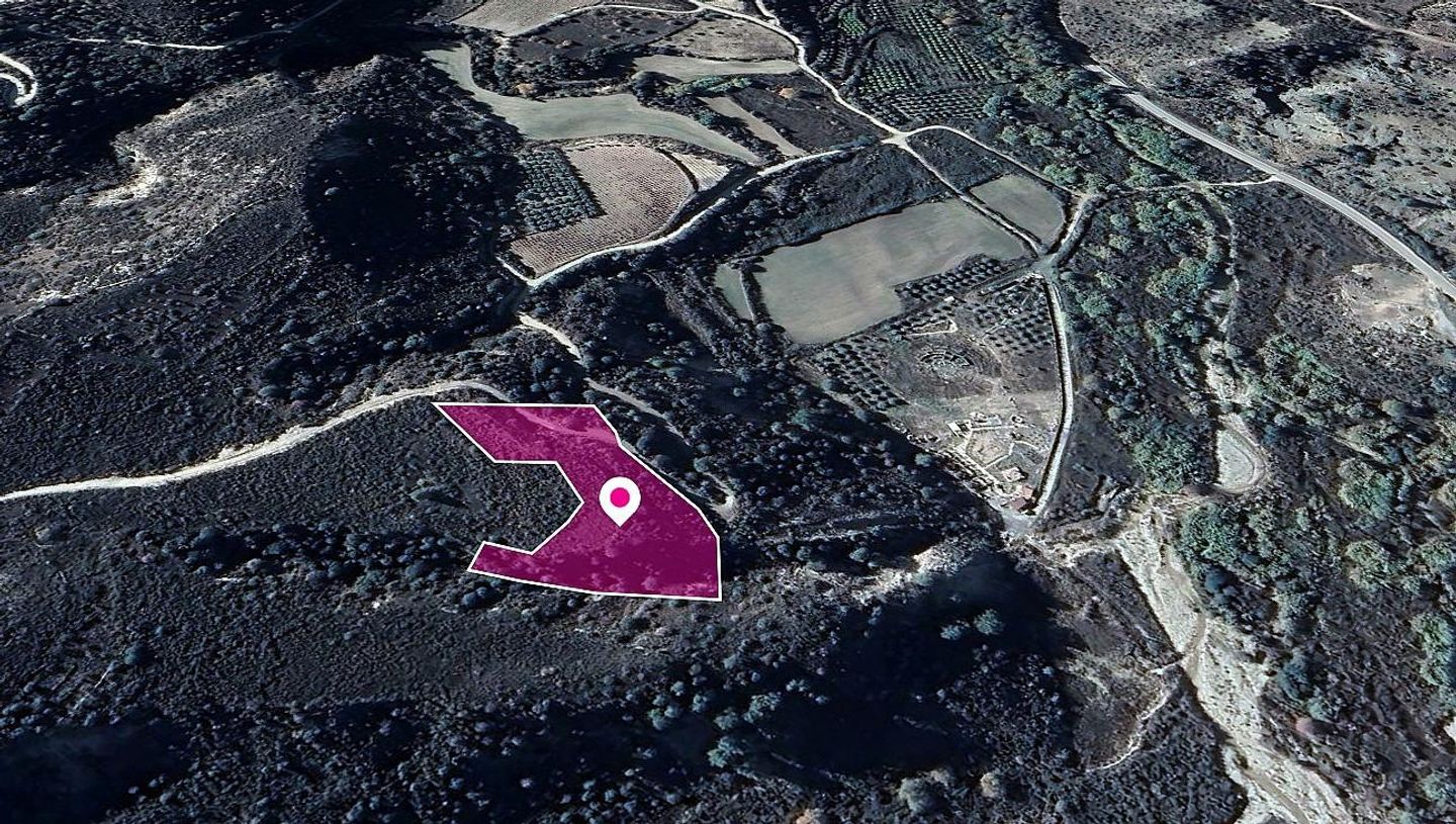 Field, Dora, Limassol – id S987