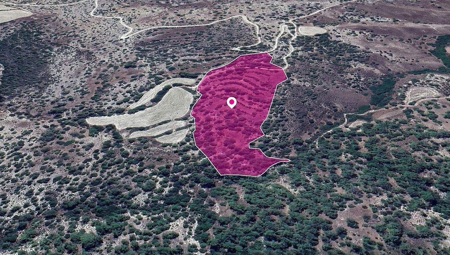 Agricultural Field in Amargeti, Paphos – id S43848
