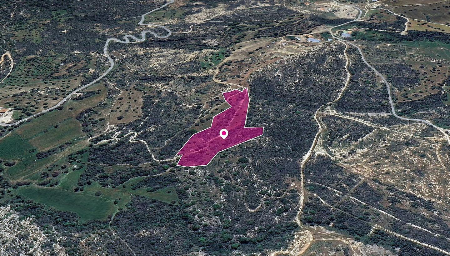 (Share) Agricultural Field in Agios Isidoros, Paphos – id S43453