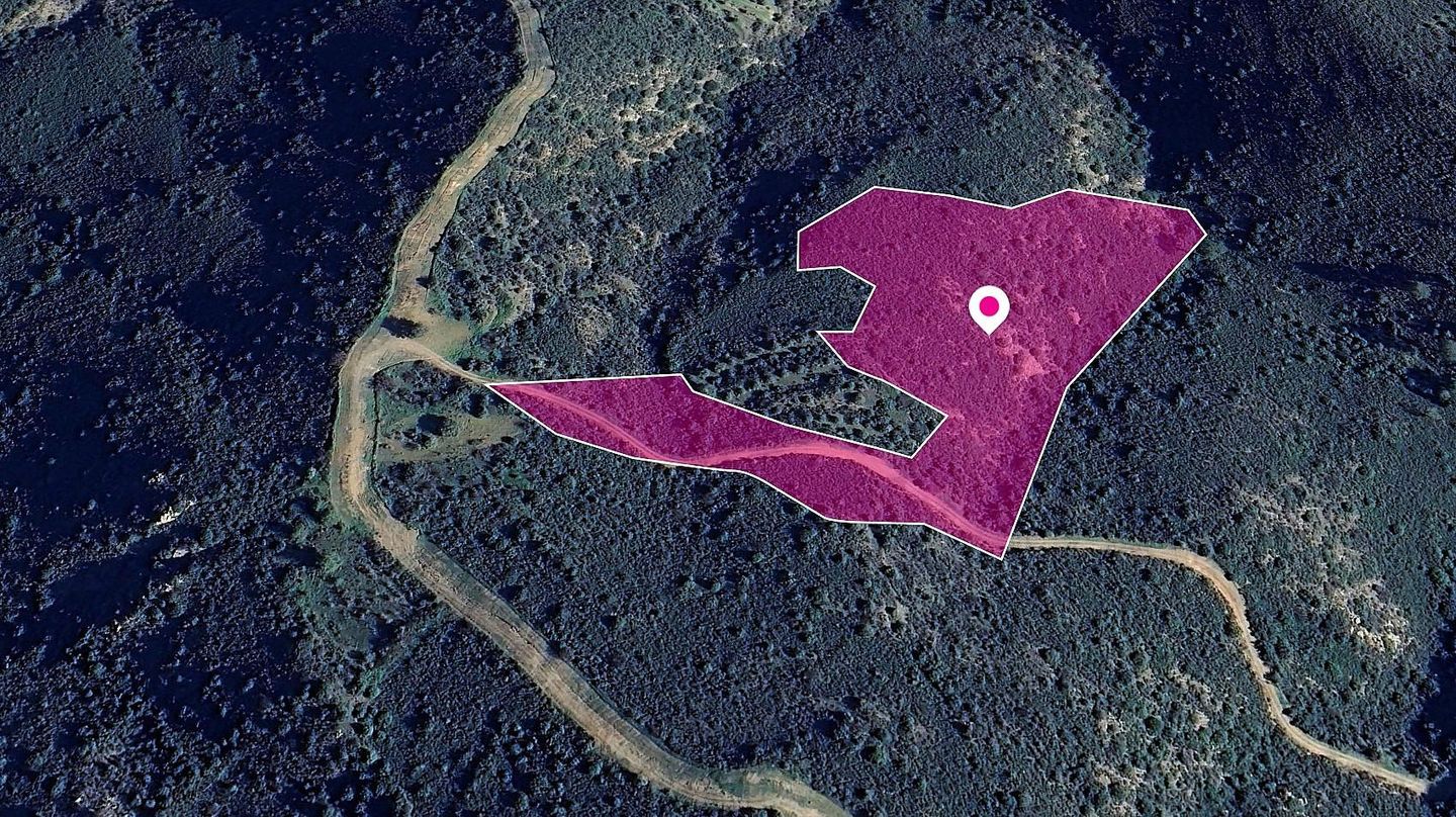 Field in Lageia, Larnaca – id S44123