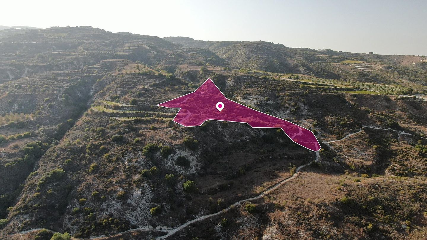 Agricultural Field in Theletra, Paphos – id S44298