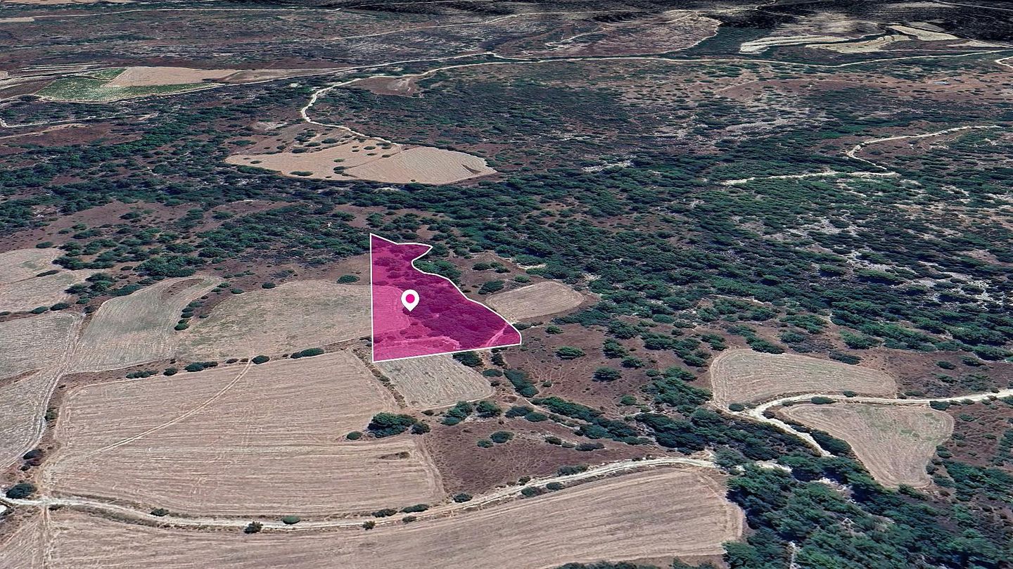 Field, Mousere, Paphos – id S43850