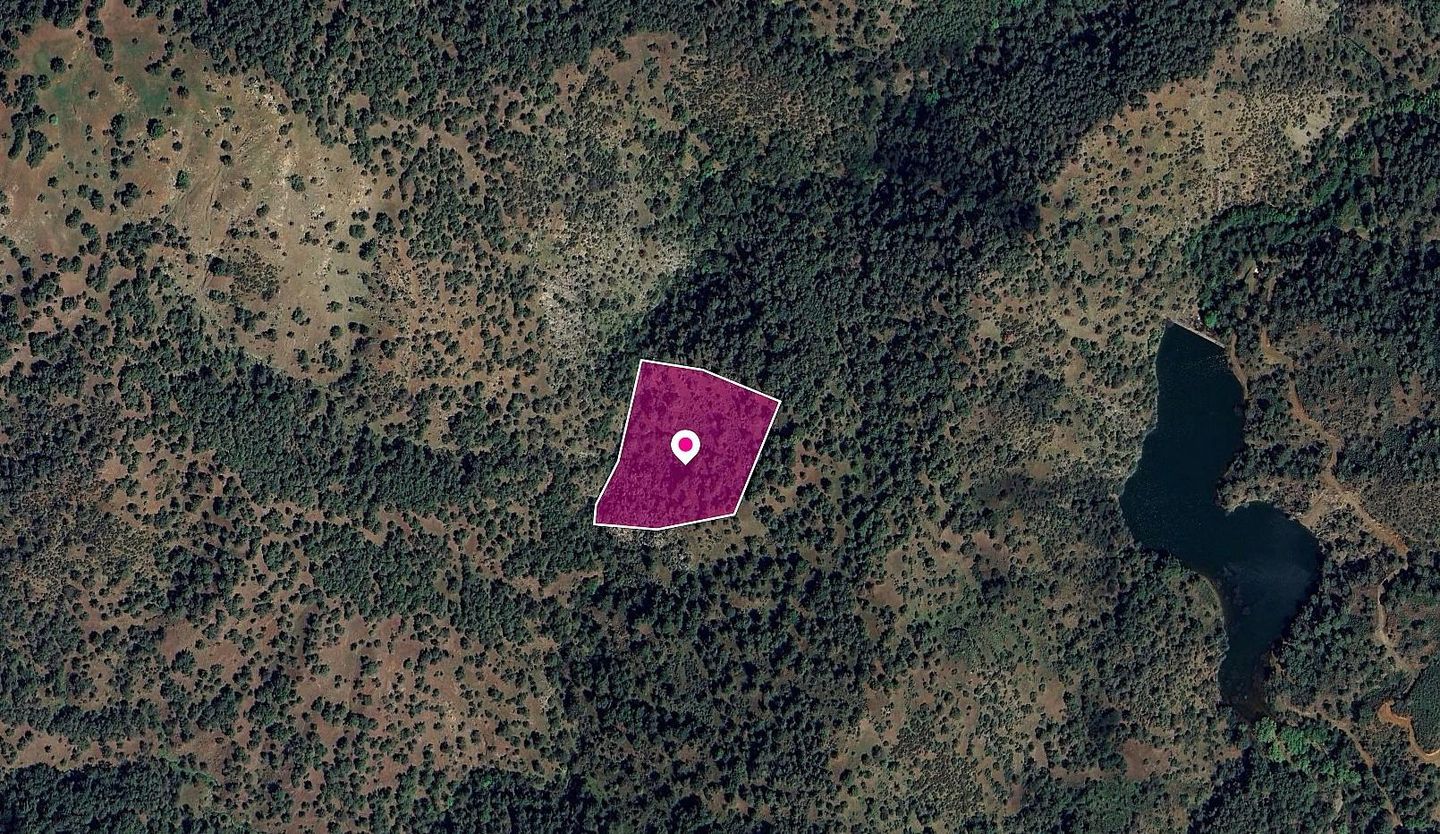 Agricultural Field in Pigenia, Nicosia – id S43450