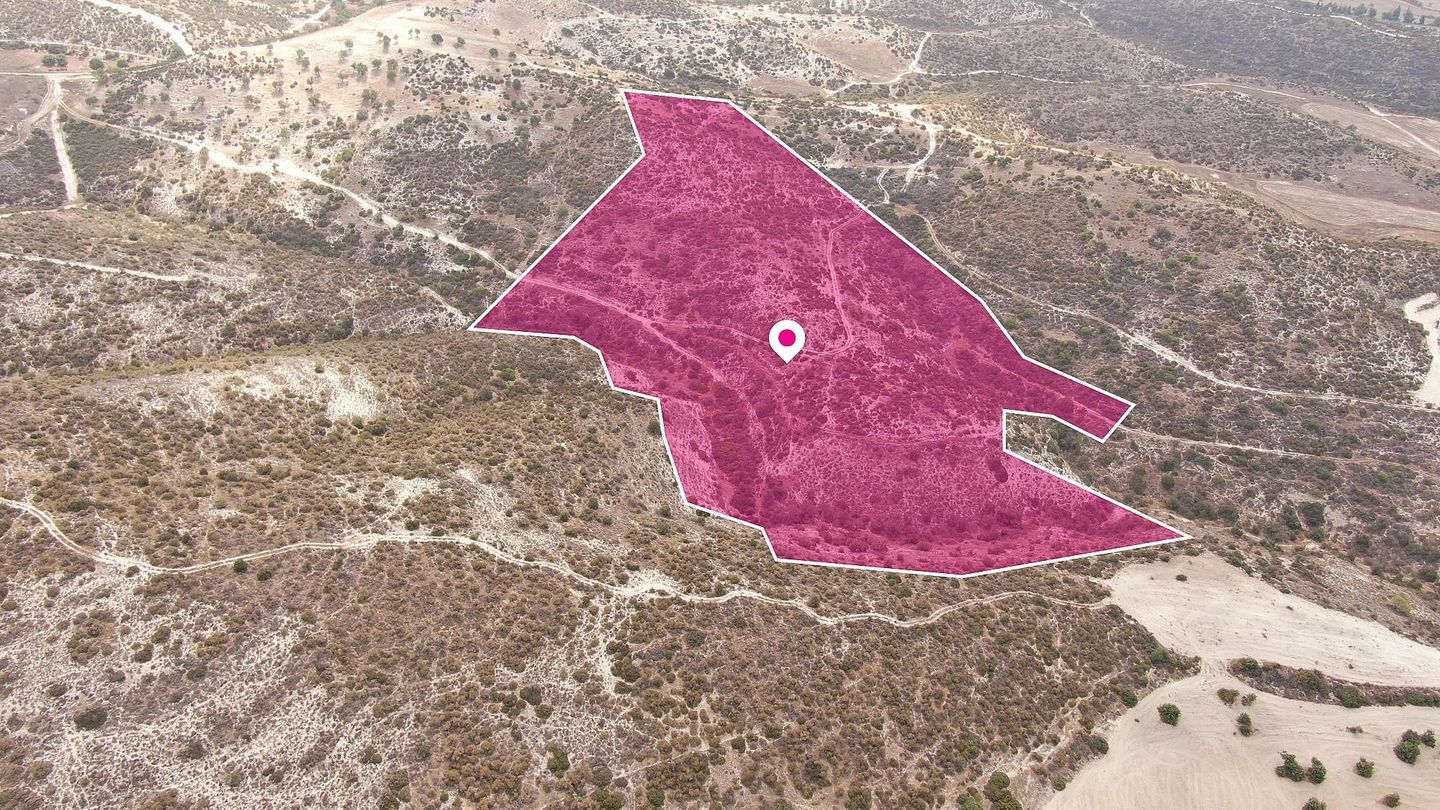 Agriculture Field in Skarinou, Larnaca – id S44258