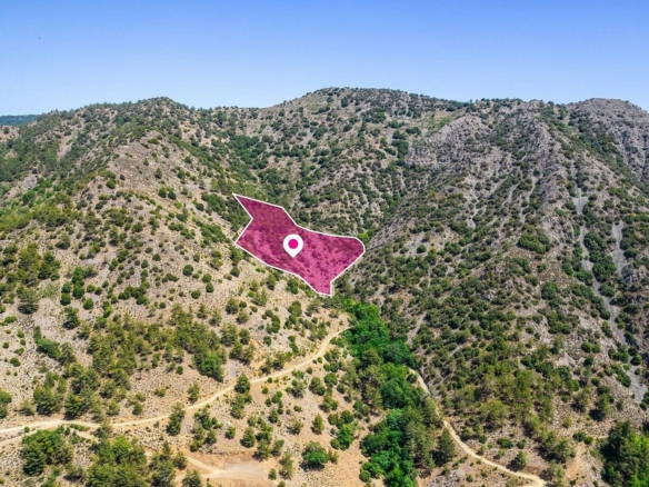 Field, Agios Theodoros, Limassol – id S8796
