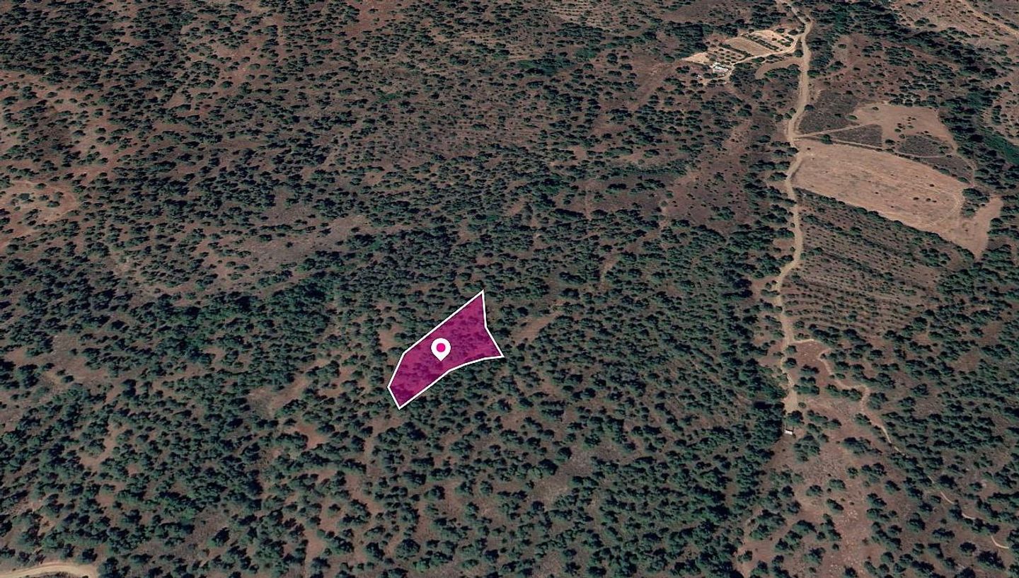 Field in Theodoro Soleas, Nicosia – id S8447