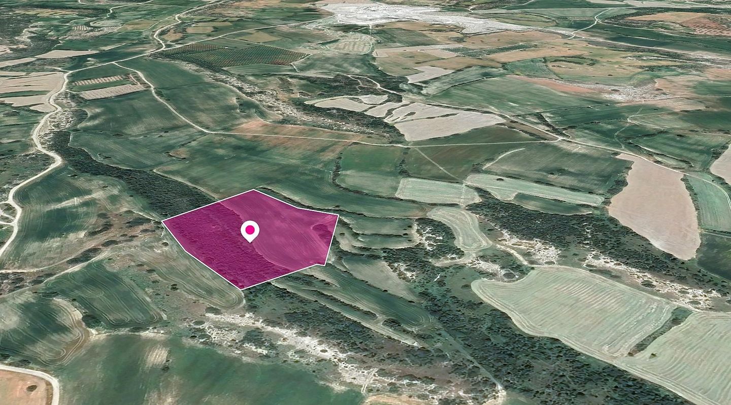 Agricultural Field in Agios Theodoros, Larnaca – id S44029