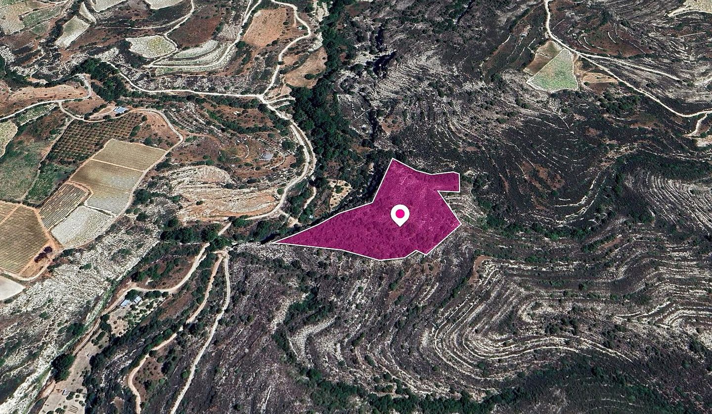 Field, Koilani, Limassol – id S20341