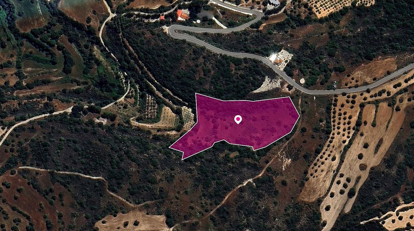 (Share) Agricultural Field in Pano Akourdaleia, Paphos – id S44073