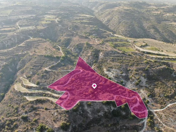 Agricultural Field in Theletra, Paphos – id S44298