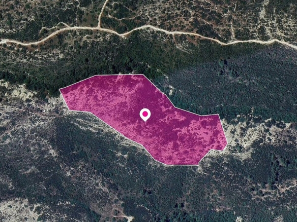 Agricultural Field in Platanisteia, Limassol – id S43310